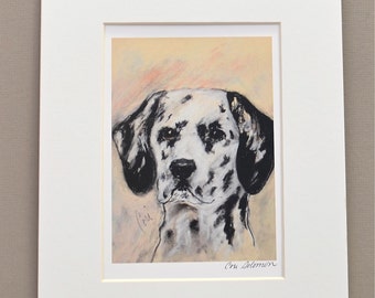 Dalmatian Dog Art Print Signed & Matted By Cori Solomon