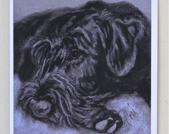 Giant Schnauzer Dog Art Note Cards By Cori Solomon