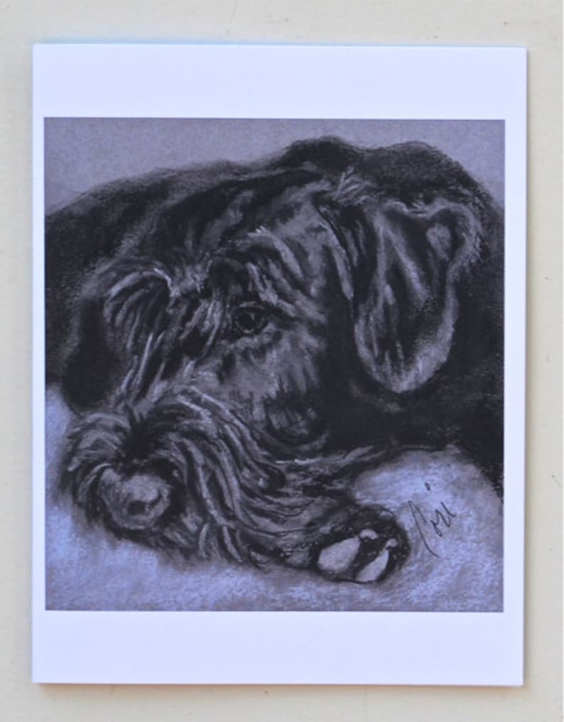 Giant Schnauzer Dog Art Note Cards By Cori Solomon