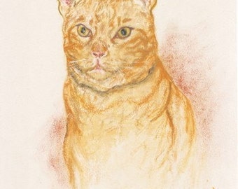 Orange Tabby Cat Art Magnet By Cori Solomon