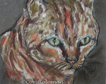 Tabby Cat Art Original Framed Pastel Drawing  By Cori Solomon