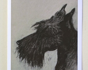 Scottish Terrier Scottie Note Cards By Cori Solomon