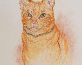 Orange Tabby Cat Art Pastel Drawing By Cori Solomon