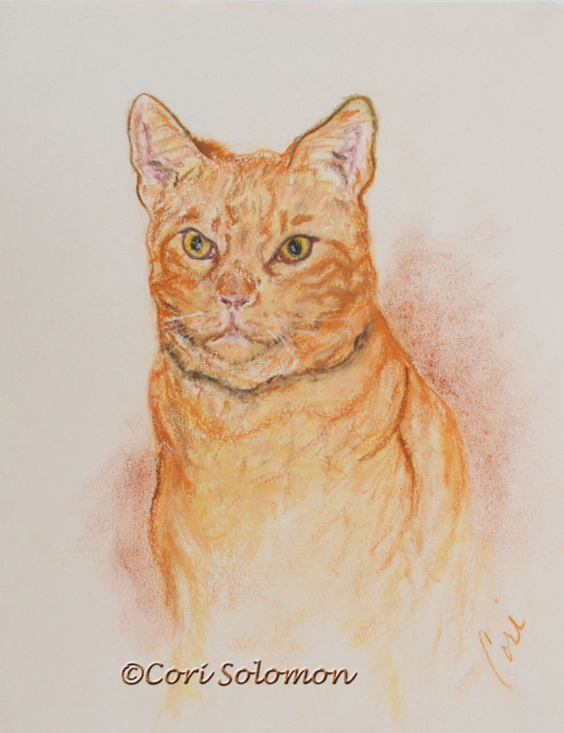 Original pastel drawing of a Orange Tabby Cat © Cori Solomon