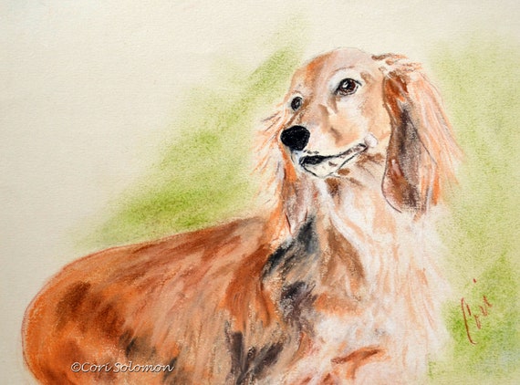 Miniature Long Haired Dachshund Dog Art Pastel Drawing By Cori Etsy