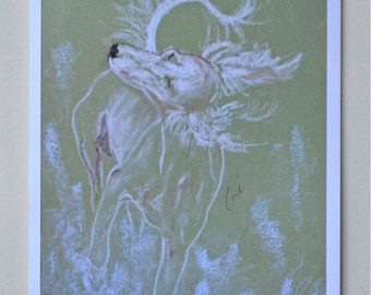 Cream Saluki Dog Art Note Cards By Cori Solomon