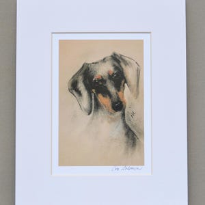 Doxie Dachshund Dog Art Signed and Matted Print By Cori Solomon
