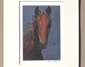 Chestnut Horse Art Signed Matted Print By Cori Solomon