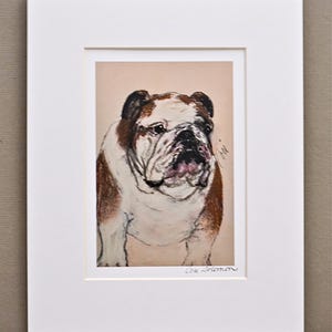 Bulldog Dog Art Print Matted By Cori Solomon