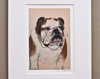 Bulldog Dog Art Print Matted By Cori Solomon