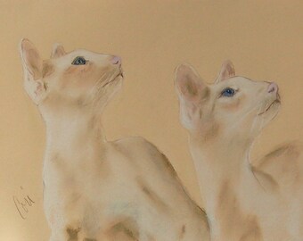 In Sync Siamese Cat Red Point Art Signed Matted Print By Cori Solomon