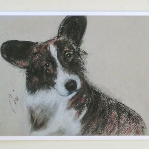 Cardigan Welsh Corgi Dog Art Note Cards By Cori Solomon