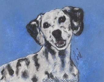 Dalmatian Dog Art Pastel Drawing By Cori Solomon