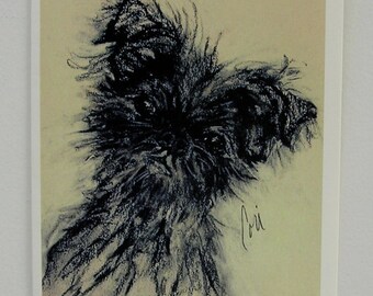 Affenpinscher Dog Art Note Cards By Cori Solomon