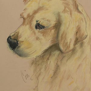 Golden Retriever Dog Art Print Signed and Matted By Cori Solomon