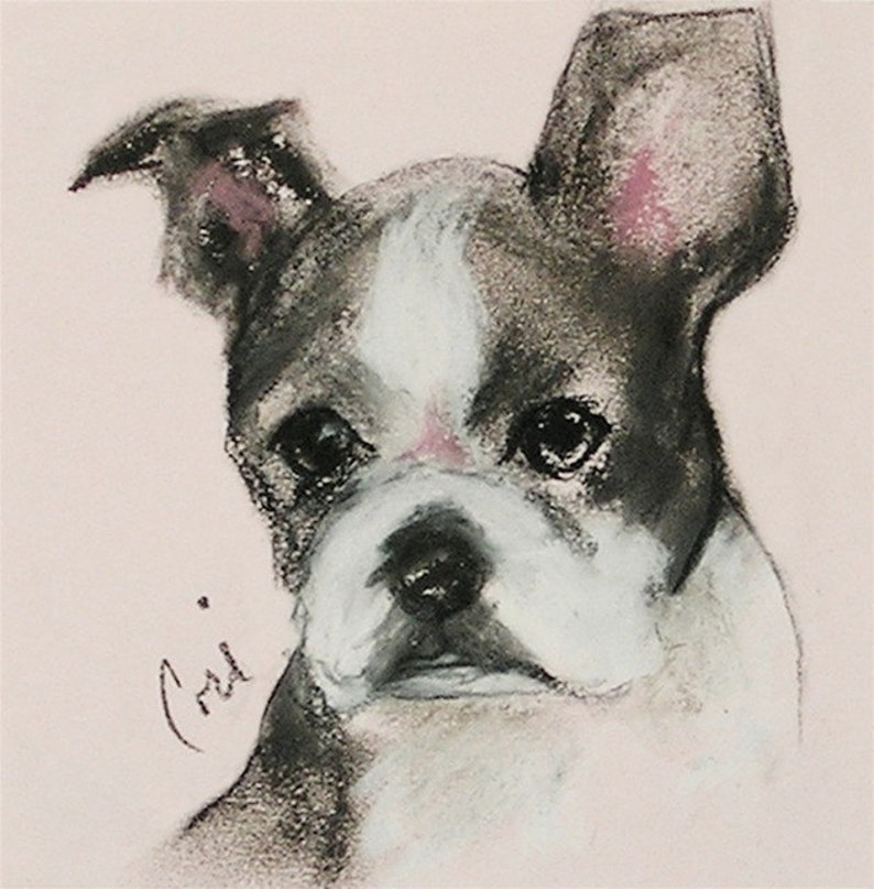 Boston Terrier Dog Art Notepad By Cori Solomon