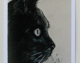 Black Cat Art Note Cards By Cori Solomon