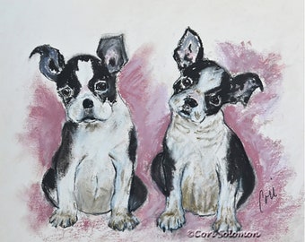 Two Boston Terrier Puppies Dog Art Pastel Drawing By Cori Solomon