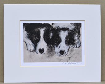 Border Collie Dog Art Print Matted By Cori Solomon