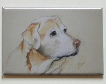 Yellow Labrador Retriever Dog Art Magnet by Cori Solomon