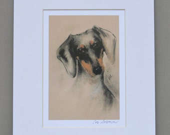 Doxie Dachshund Dog Art Signed and Matted Print By Cori Solomon