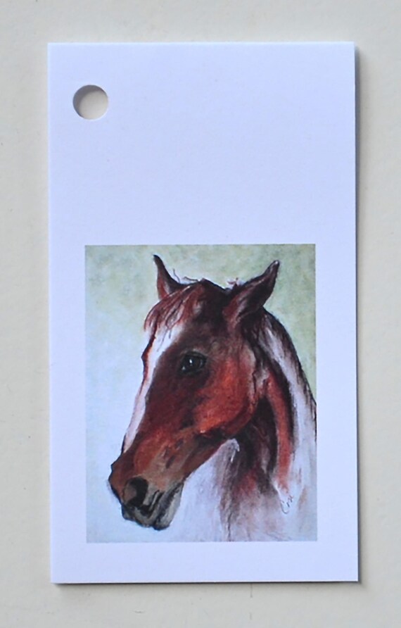 Bay Horse Art Gift Tags By Cori Solomon