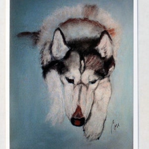 Cartes de correspondance représentant un chien husky sibérien par Cori Solomon
