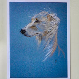 Cream Saluki Hound Dog Art Note Cards By Cori Solomon
