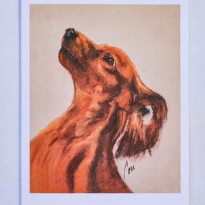 Long Haired Dachshund Doxie Dog Art Note Cards By Cori Solomon