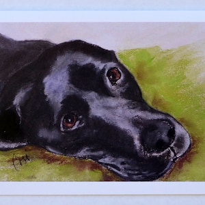 Black Labrador Dog Art Note Cards By Cori Solomon