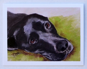 Black Labrador Dog Art Note Cards By Cori Solomon
