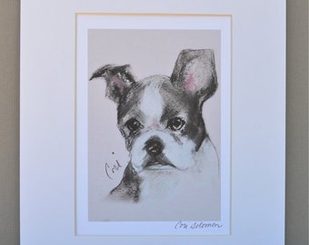 Bostonian Boston Terrier Dog Art Print Signed & Matted By Cori Solomon