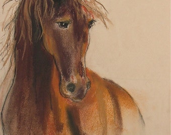 Bay Horse Chestnut Horse Art Signed Matted Print By Cori Solomon