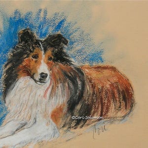 Biglietti d'auguri artistici con il cane pastore delle Shetland, Sheltie, di Cori Solomon