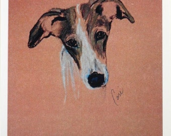 May include: A pastel drawing of a dog's head. The dog has brown and white fur and is looking directly at the viewer. The drawing is on a light orange background and is signed "Lori".