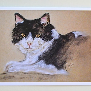 Black and White Cat Fine Art Note Cards By Cori Solomon