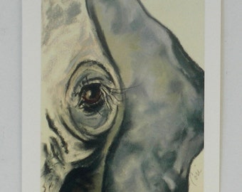 Elephant Art Note Cards Animal Wildlife By Cori Solomon