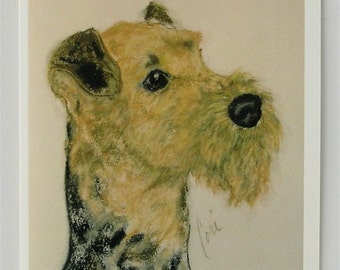 Airedale Dog Art Note Cards By Cori Solomon