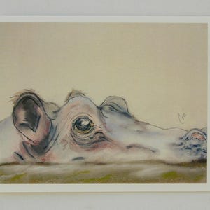 Biglietti d'auguri artistici con animali selvatici e ippopotami di Cori Solomon