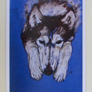 Cartes de correspondance représentant un chien husky sibérien par Cori Solomon