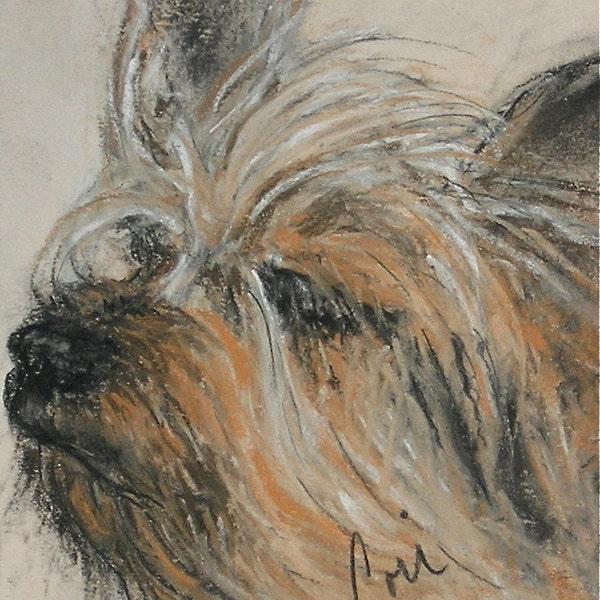 Silky Terrier Yorkshire Terrie Yorkie Pastel Drawing Dog Art Framed