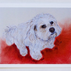 Cartões de nota de arte de cachorro branco pequeno Coton de Tulear por Cori Solomon
