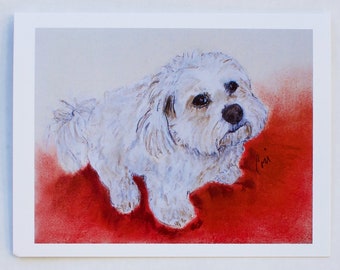 May include: A white dog with brown eyes and a fluffy white coat is sitting on a red background. The dog is looking to the left of the image.