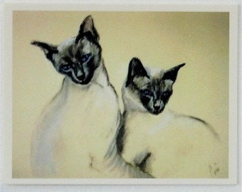 Siamese Cat Art Note Cards By Cori Solomon
