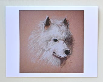 Samoyed Dog Art Note Cards By Cori Solomon