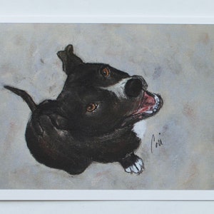 Biglietti d'auguri con l'arte del cane American Pit Bull Terrier e American Staffordshire Terrier di Cori Solomon