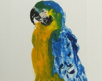 Parrot Art Monotype By Cori Solomon