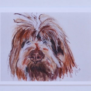 Wirehaired Pointing Griffon Dog Art Note Cards by Cori Solomon