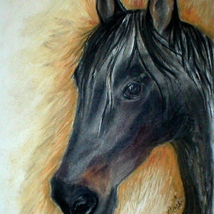 Cartes de correspondance Black Horse Art par Cori Solomon