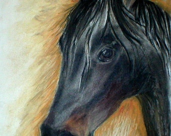Black Horse Art Note Cards By Cori Solomon